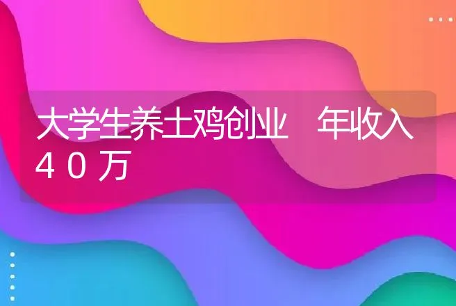 大学生养土鸡创业 年收入40万 | 养殖致富