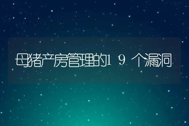 母猪产房管理的19个漏洞 | 家畜养殖