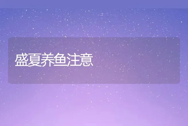 盛夏养鱼注意 | 动物养殖