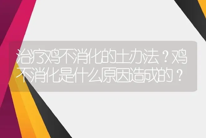 治疗鸡不消化的土办法？鸡不消化是什么原因造成的？ | 兽医知识大全