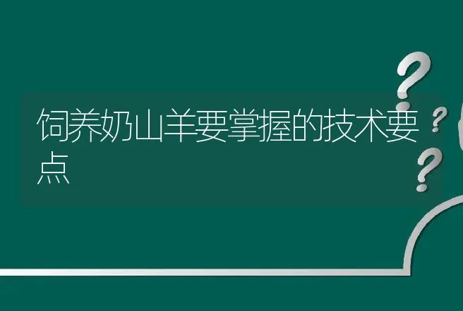 饲养奶山羊要掌握的技术要点 | 动物养殖