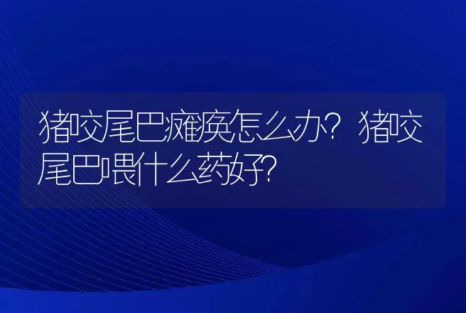 猪咬尾巴瘫痪怎么办？猪咬尾巴喂什么药好？ | 兽医知识大全