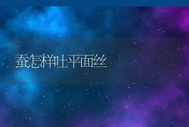 蚕怎样吐平面丝 | 动物养殖