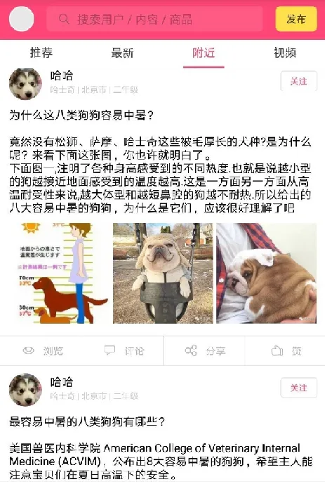 为什么这些APP都假装在做宠物社交？ | 宠物新闻资讯