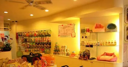 租金上涨，宠物店进入“高成本时代 | 宠物新闻资讯