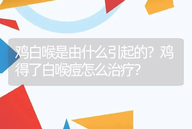 鸡白喉是由什么引起的？鸡得了白喉痘怎么治疗？ | 兽医知识大全