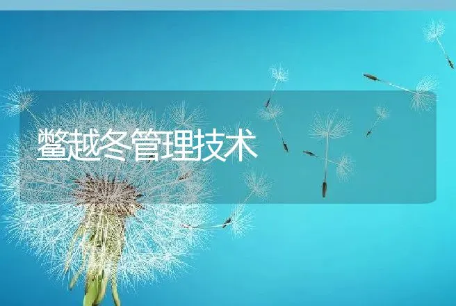 鳖越冬管理技术 | 动物养殖