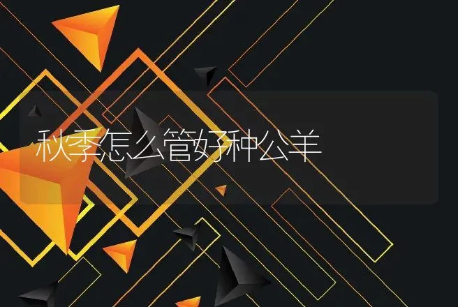 秋季怎么管好种公羊 | 动物养殖