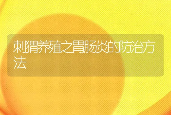 刺猬养殖之胃肠炎的防治方法 | 动物养殖