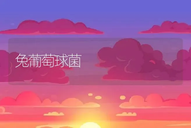 兔葡萄球菌 | 动物养殖