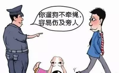 首张罚单！西宁人养宠物要注意了 | 宠物政策法规