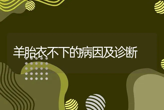 羊胎衣不下的病因及诊断 | 动物养殖