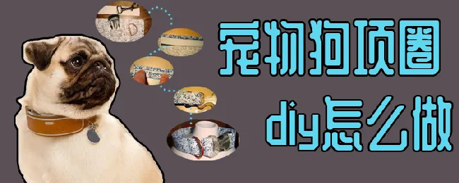 宠物狗项圈diy怎么做 | 宠物病虫害防治