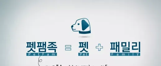 宠物幼儿园，“petfam”成流行词，发展火热的韩国宠物经济对国内有什么启示？ | 宠物行业洞察