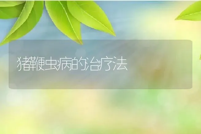 猪鞭虫病的治疗法 | 动物养殖