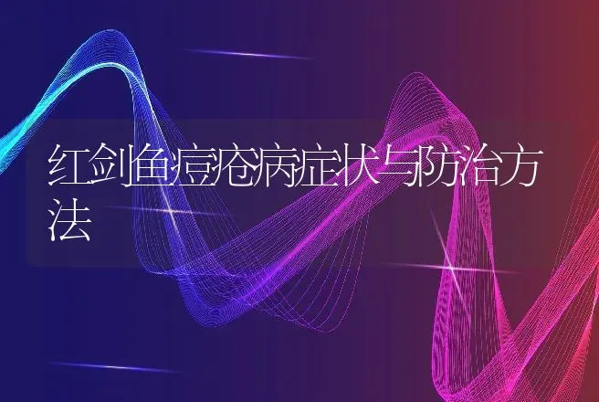 红剑鱼痘疮病症状与防治方法 | 水产知识