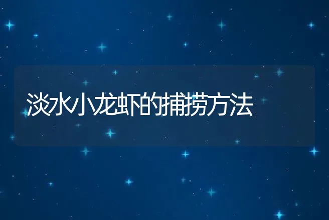 淡水小龙虾的捕捞方法 | 渔业捕捞