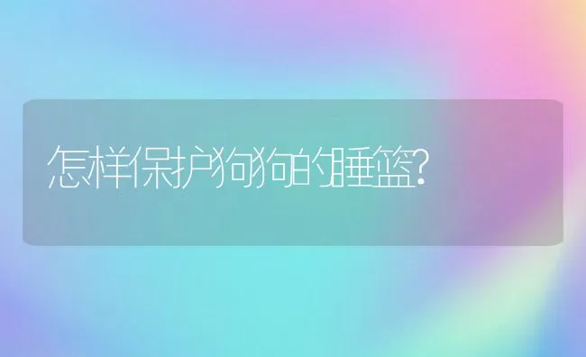 怎样保护狗狗的睡篮? | 宠物病虫害