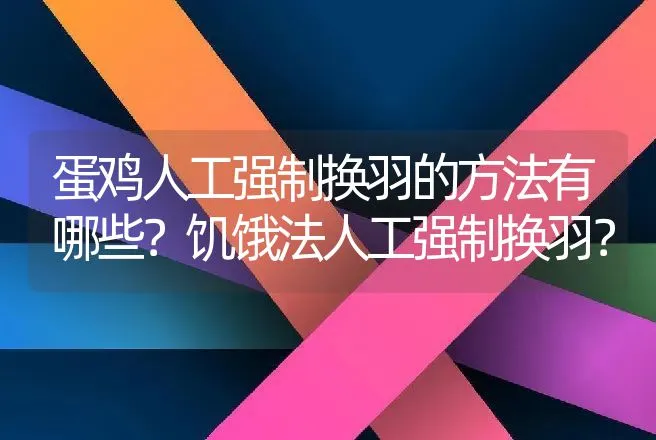 蛋鸡人工强制换羽的方法有哪些？饥饿法人工强制换羽？ | 家禽养殖