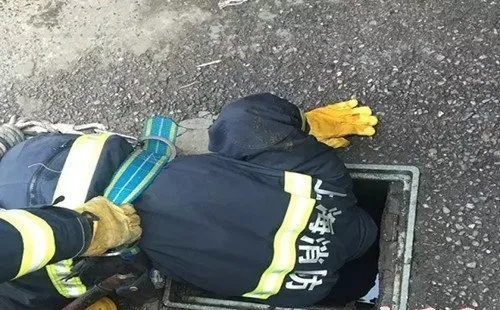 流浪狗卡下水道 消防中队3次出动终救获 | 宠物新闻资讯