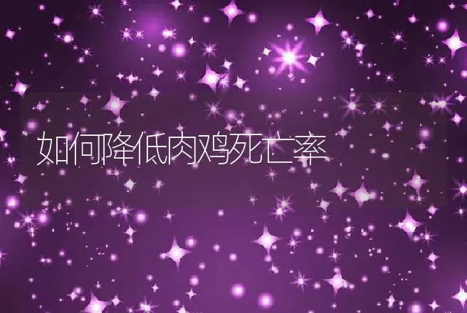 如何降低肉鸡死亡率 | 动物养殖