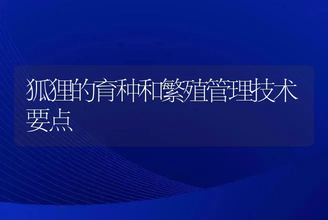 狐狸的育种和繁殖管理技术要点 | 特种养殖