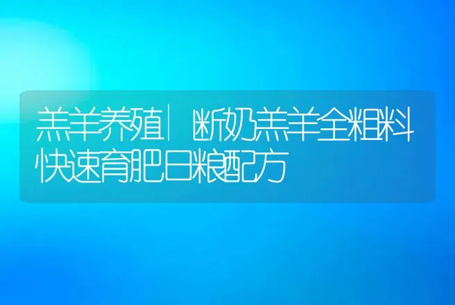 羔羊养殖|断奶羔羊全粗料快速育肥日粮配方 | 家畜养殖