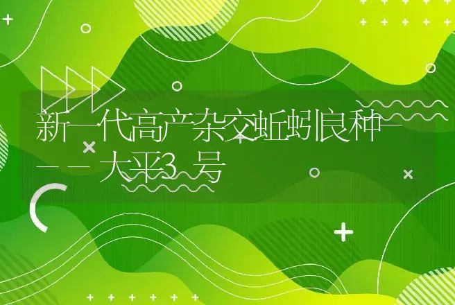 新一代高产杂交蚯蚓良种---大平3号 | 动物养殖