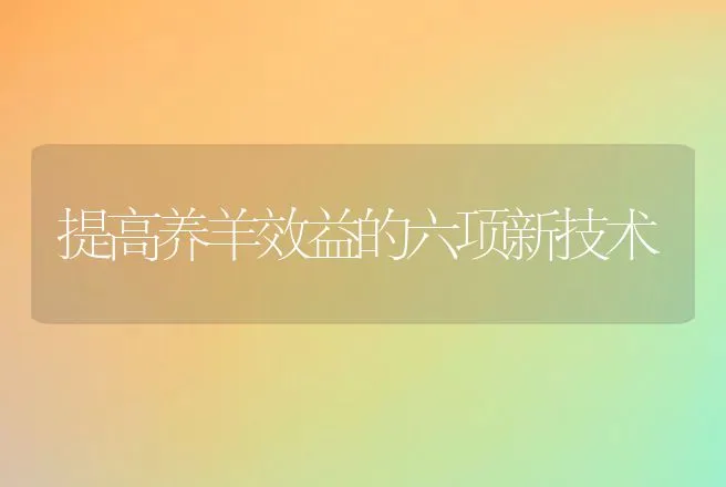 提高养羊效益的六项新技术 | 动物养殖