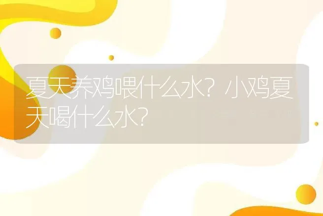 夏天养鸡喂什么水？小鸡夏天喝什么水？ | 家禽养殖