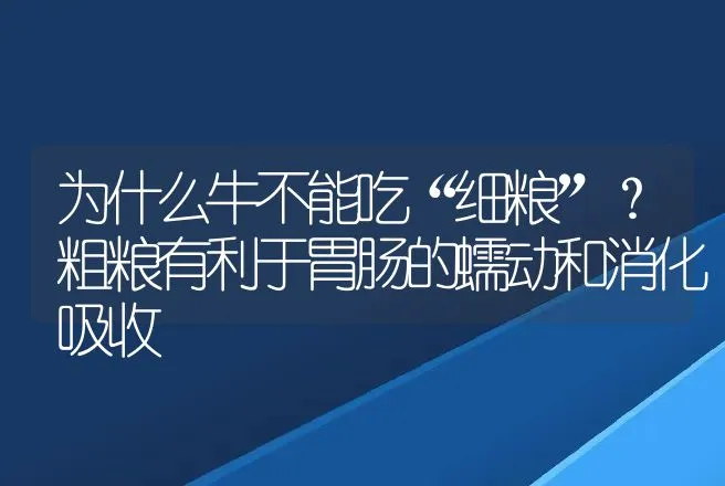 为什么牛不能吃“细粮”？粗粮有利于胃肠的蠕动和消化吸收 | 家畜养殖