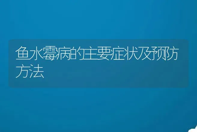 鱼水霉病的主要症状及预防方法 | 兽医知识大全