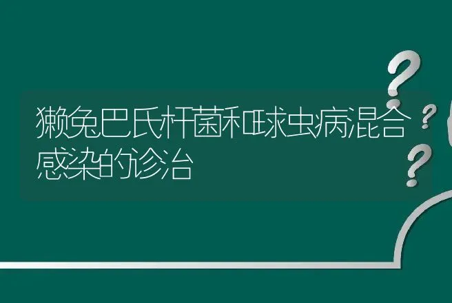 獭兔巴氏杆菌和球虫病混合感染的诊治 | 动物养殖