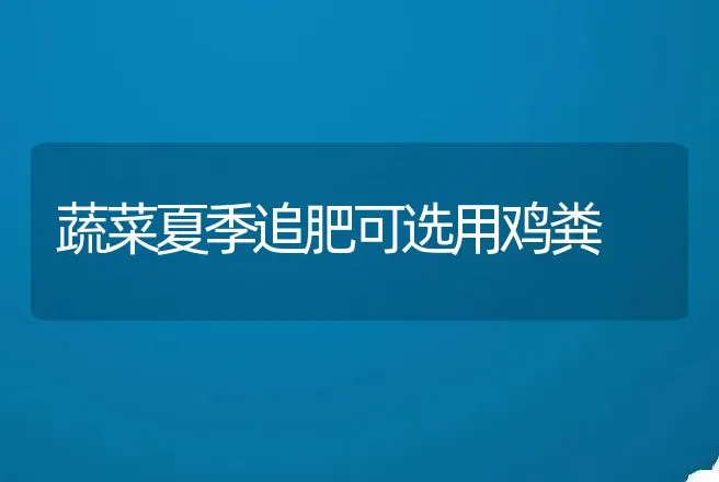 冬季提高鹌鹑产蛋率的措施 | 动物养殖