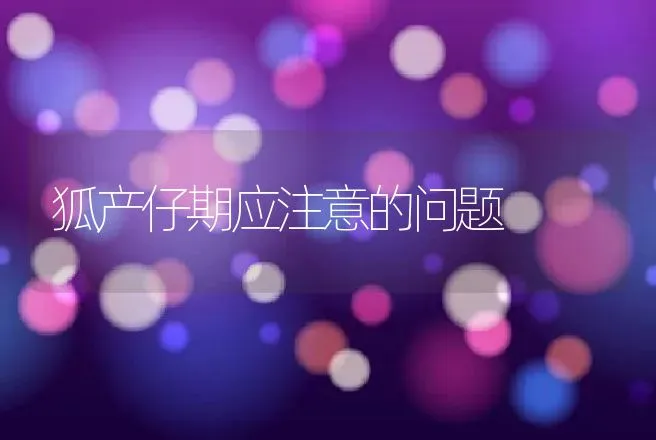 狐产仔期应注意的问题 | 动物养殖