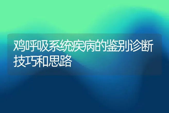 鸡呼吸系统疾病的鉴别诊断技巧和思路 | 动物养殖