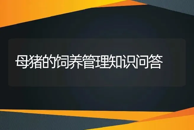 母猪的饲养管理知识问答 | 家畜养殖