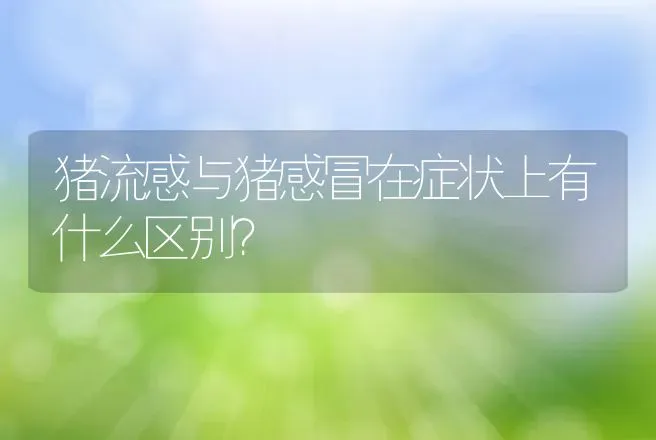 猪流感与猪感冒在症状上有什么区别？ | 兽医知识大全