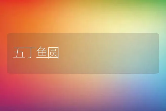 五丁鱼圆 | 动物养殖