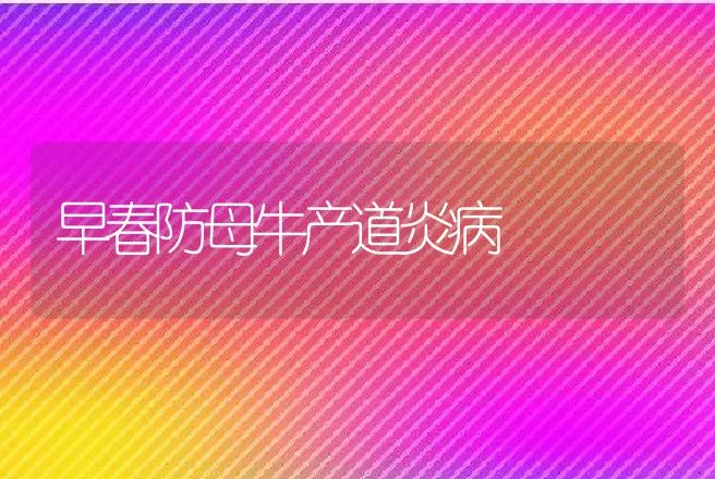 早春防母牛产道炎病 | 动物养殖