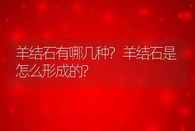 羊结石有哪几种?羊结石是怎么形成的? | 兽医知识大全