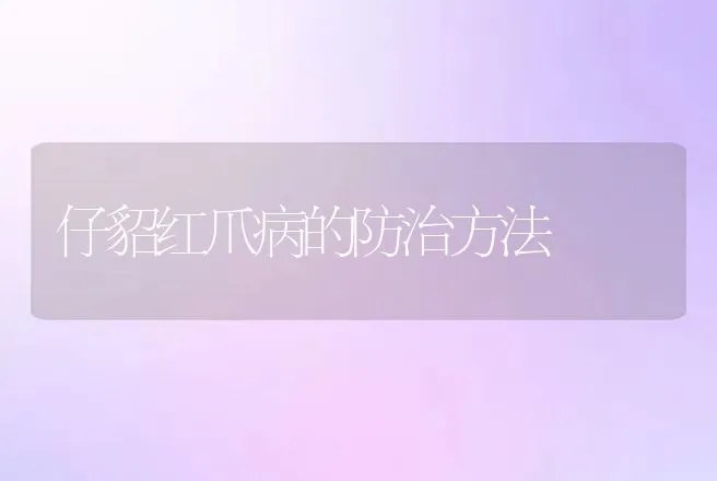 仔貂红爪病的防治方法 | 动物养殖