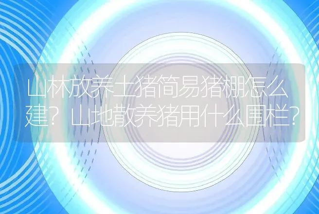 山林放养土猪简易猪棚怎么建？山地散养猪用什么围栏？ | 兽医知识大全