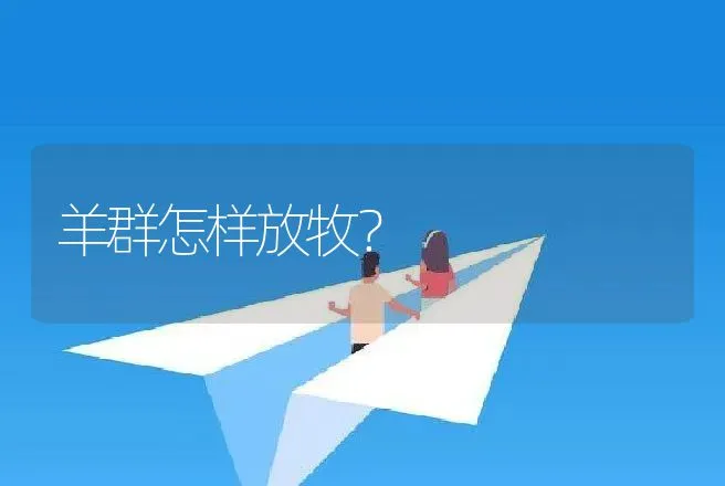 羊群怎样放牧？ | 动物养殖