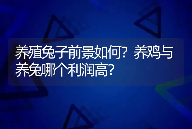 养殖兔子前景如何？养鸡与养兔哪个利润高？ | 养殖致富