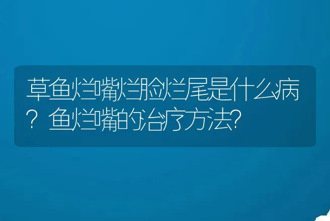 草鱼烂嘴烂脸烂尾是什么病？鱼烂嘴的治疗方法？ | 兽医知识大全