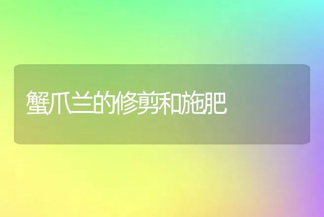 蟹爪兰的修剪和施肥 | 动物养殖