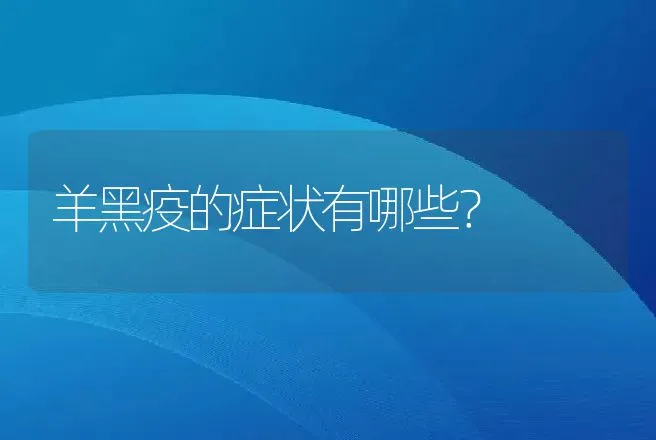 羊黑疫的症状有哪些？ | 家畜养殖