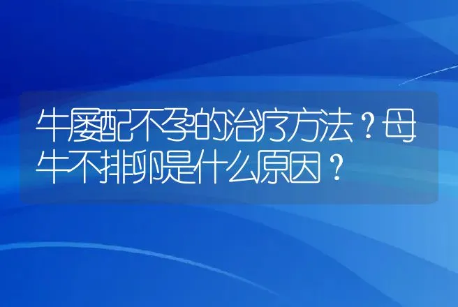 牛屡配不孕的治疗方法？母牛不排卵是什么原因？ | 兽医知识大全