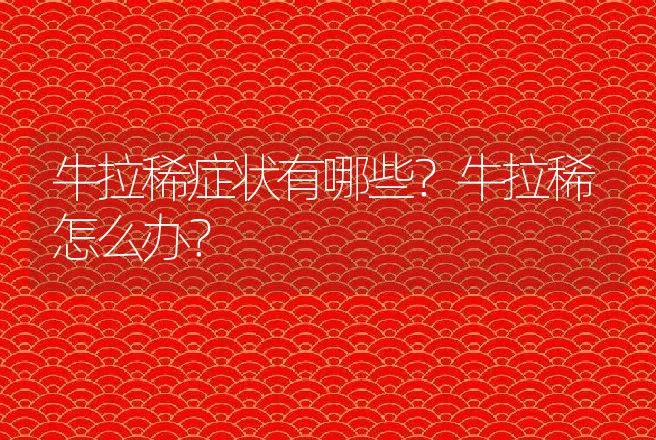 牛拉稀症状有哪些？牛拉稀怎么办？ | 兽医知识大全